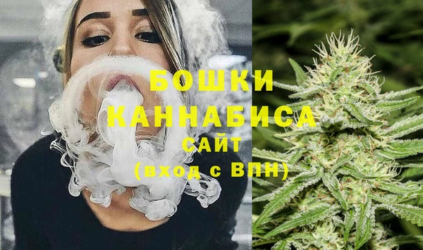 mdpv Вяземский