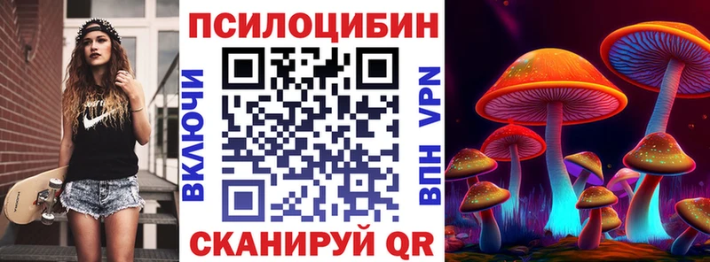 Псилоцибиновые грибы Psilocybine cubensis  купить закладку  Зерноград 