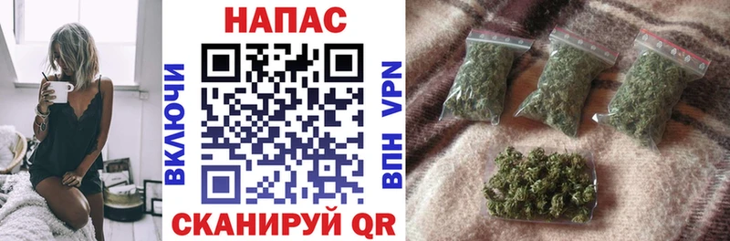 Конопля OG Kush  Зерноград 